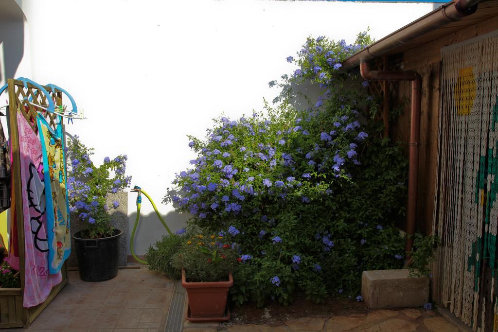 Bonjour Bed & Breakfast Morciano di Leuca Room photo